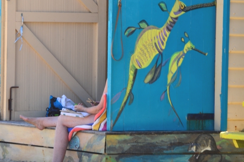 The kitschy bathing boxes are quintessentially Australian, both in their design and their very existence