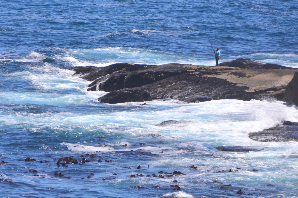 Local fisherman dot the coast near Sea Point