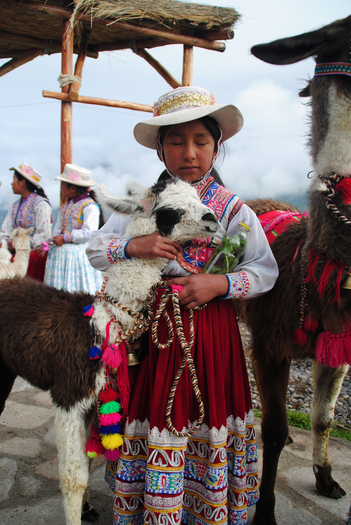 A sweet moment between an indigenous girl and her llama in Peru's Colca Valley