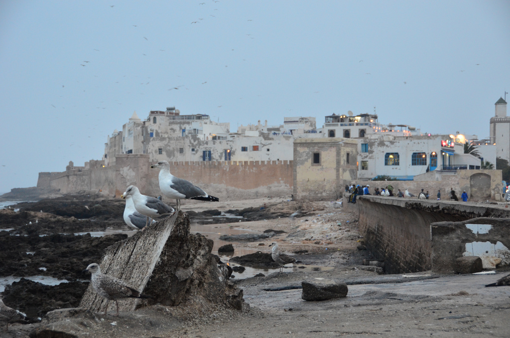 Essaouira Morocco The Best of Morocco in 10 Days