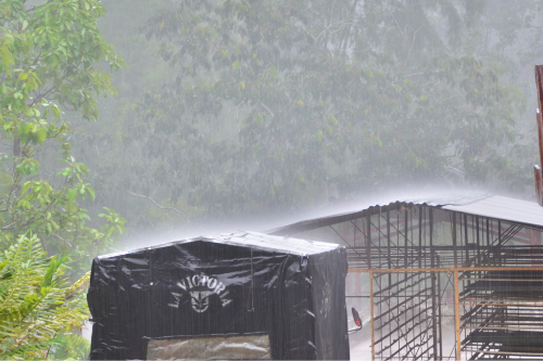 Colombia Rain