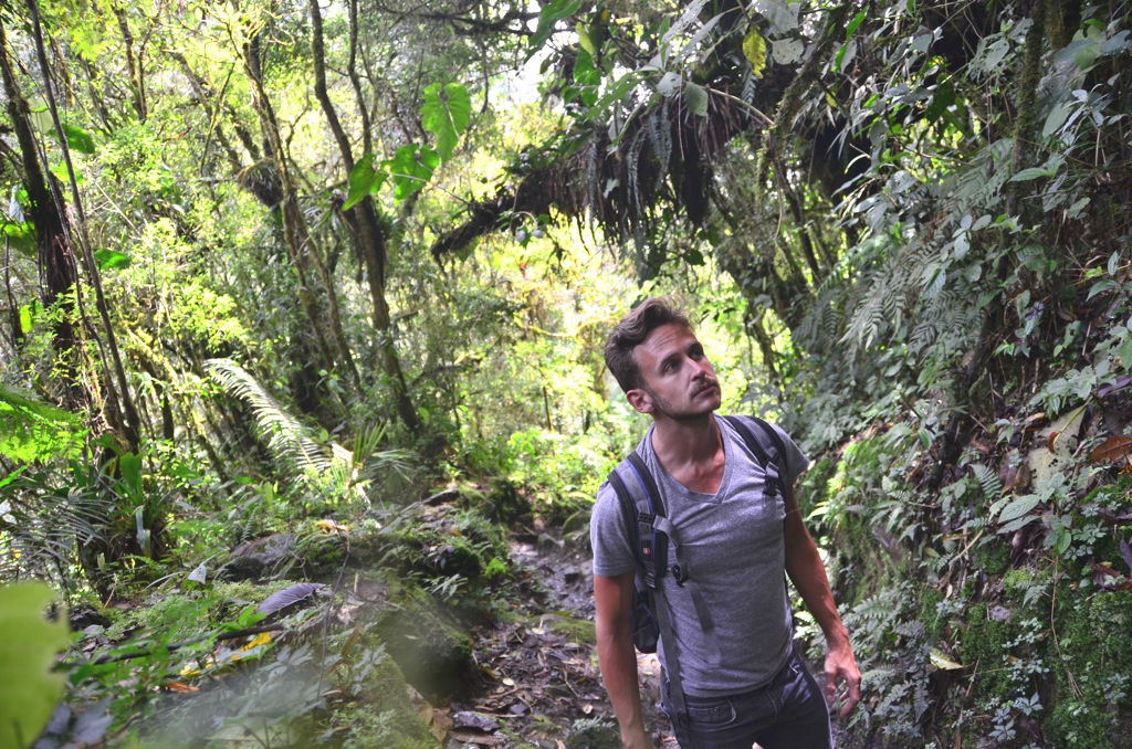 Me in Valle del Cocora Hiker in Valle del Cocora