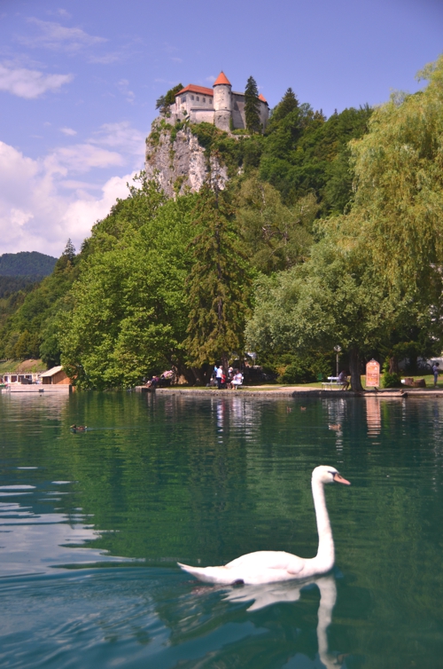 With graceful swans, pristine water and alps rising around you, Lake Bled seems very much out of a fairy tale