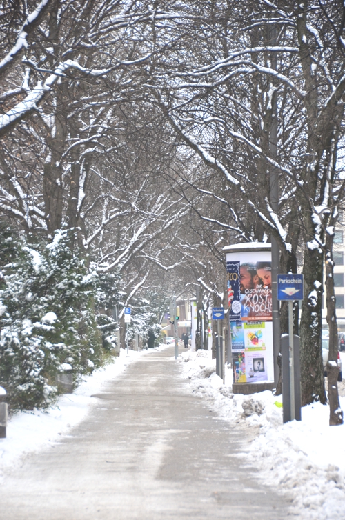 How can you not be charmed walking down a path like this?