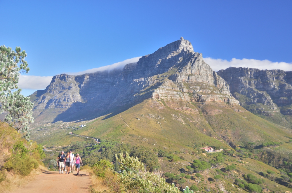 Table Mountain towers over everything in Cape Town, even from halfway up Lion's Head