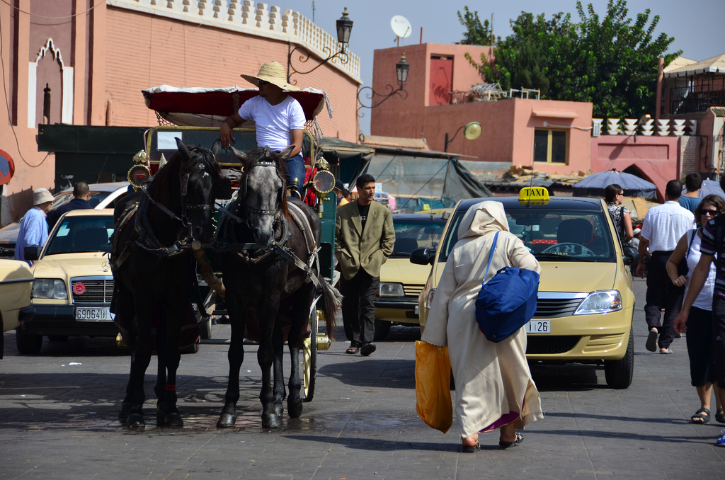 Taxi Horse and Woman in Marrakech Morocco The Best of Morocco in 10 Days