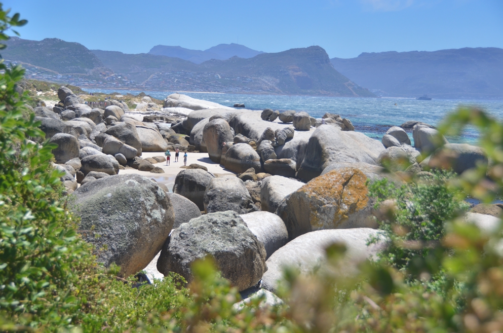 They call it Boulders Beach for a reason