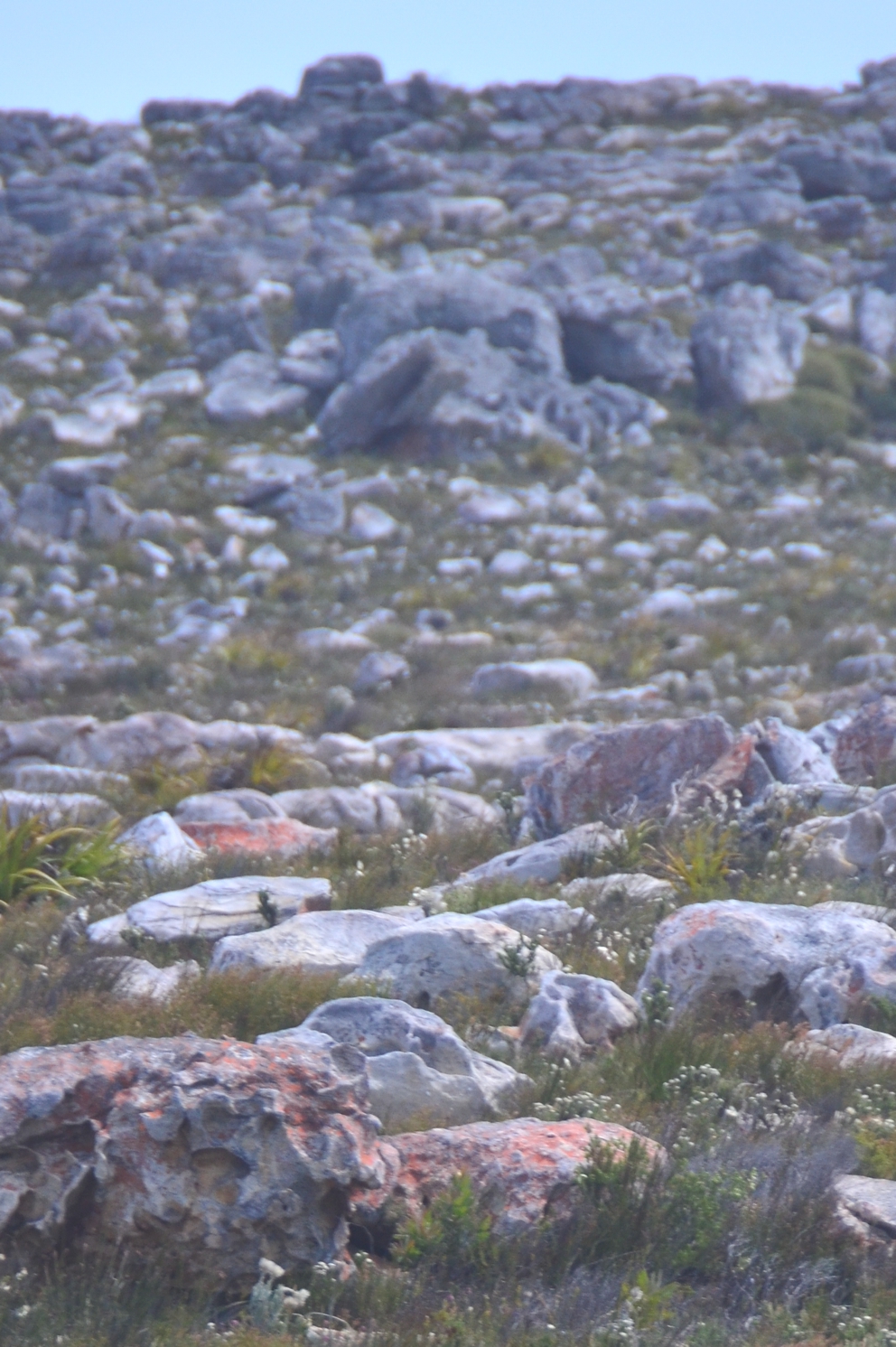 The terrain of Cape Point national park is extremely rocky at times