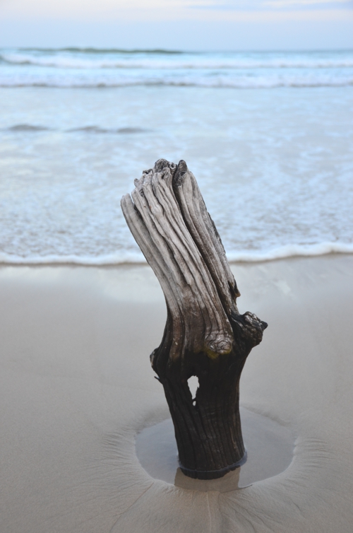 Chintsa's evening tide coming in