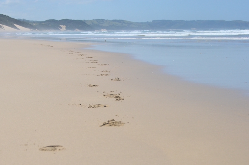 Leave your footsteps on Chintsa Beach – not many have!
