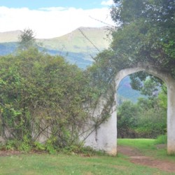 Hogsback-South-Africa