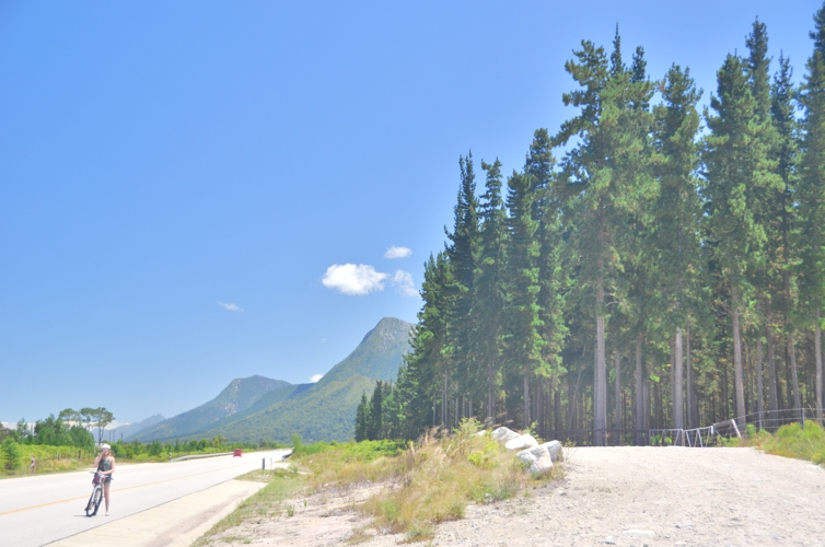 The landscape of Nature's Valley is stunning, and transitions from coast, to deciduous forest, to mountains, to coniferous forest, seemingly without order