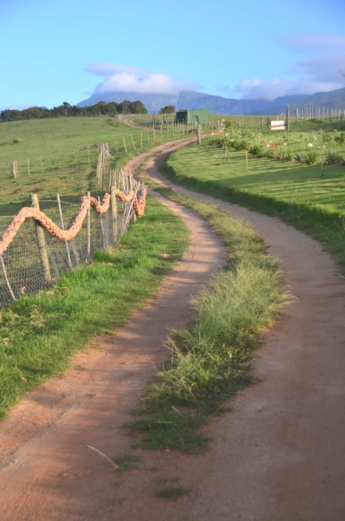 Wild-Farm-Wilderness-South-Africa