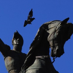 Cordoba-Argentina