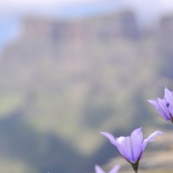 Drakensberg-South-Africa