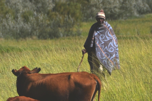 Lesotho people