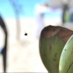 Playa Blanca Colombia 1