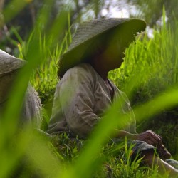 Ubud-Bali