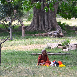 Anuradhapura Beggar