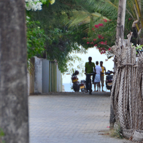 Arugam Bay Alley