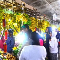 Sri-Lanka-Bananas