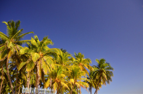 Beach in Sri Lanka