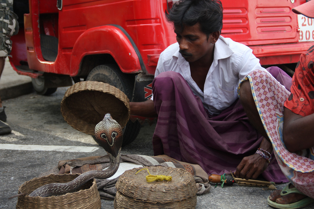 A Cobra charmer on the streets of Colombo, Sri Lanka