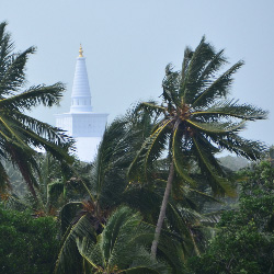 Sri Lanka Stupa