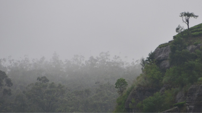 Sri-Lanka-Tea-Area