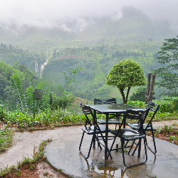 Sri-Lanka-Tea-Room