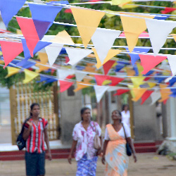 Sri Maha Bodhiya