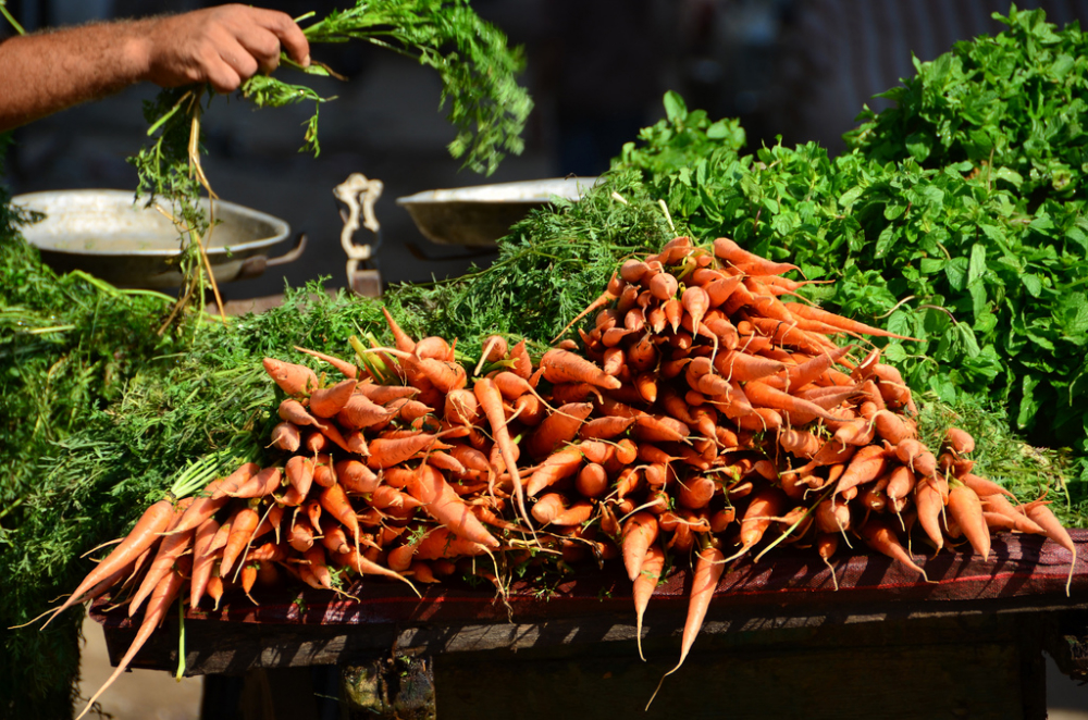 Carrots in Egypt