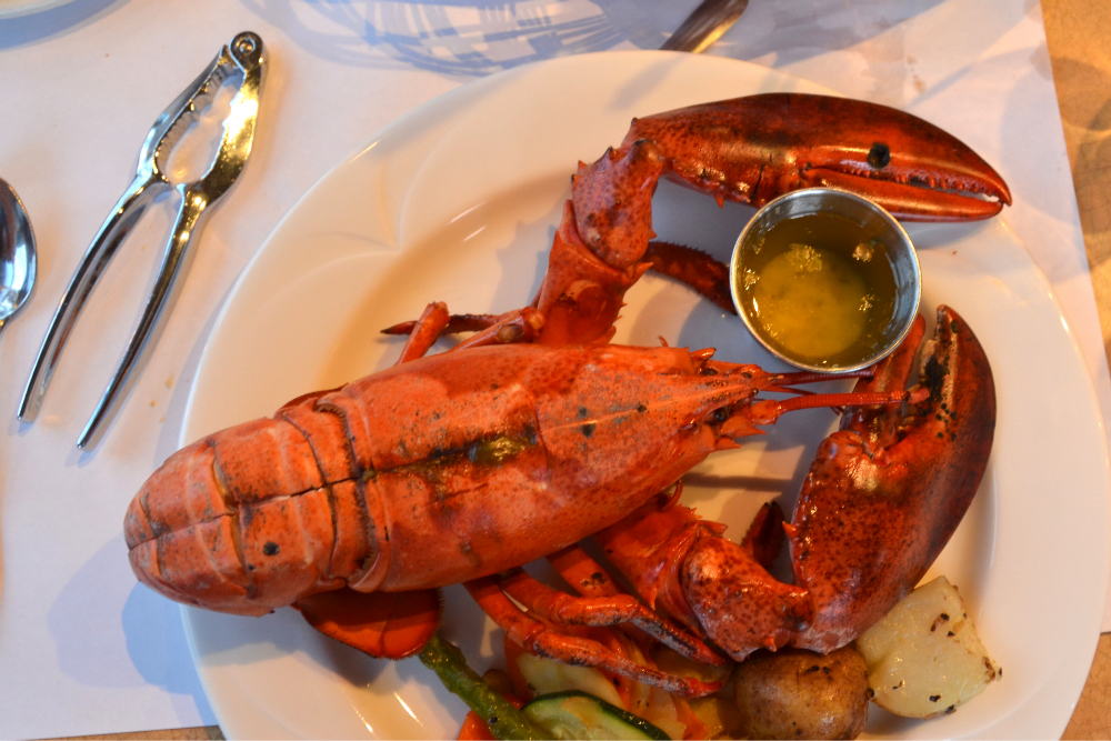 Lobster in Québec