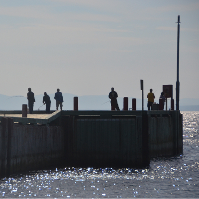 Whale Watching Pier