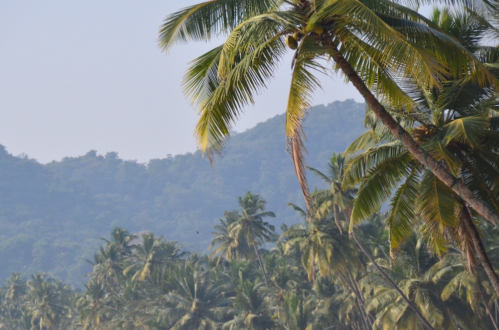 Palolem Beach, India