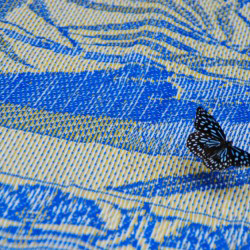 Butterfly in Laos