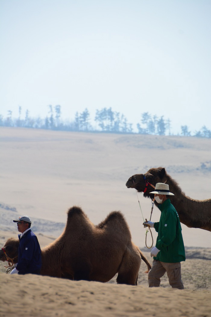 Tottori Japan Desert