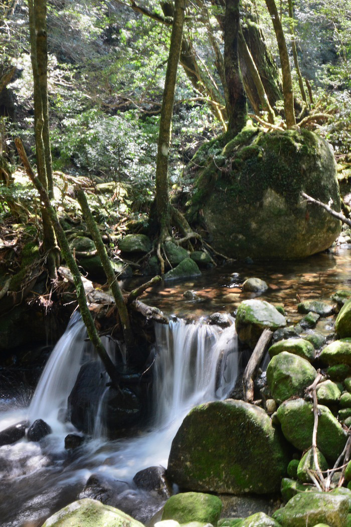 Yakushima, Japan Waterfall