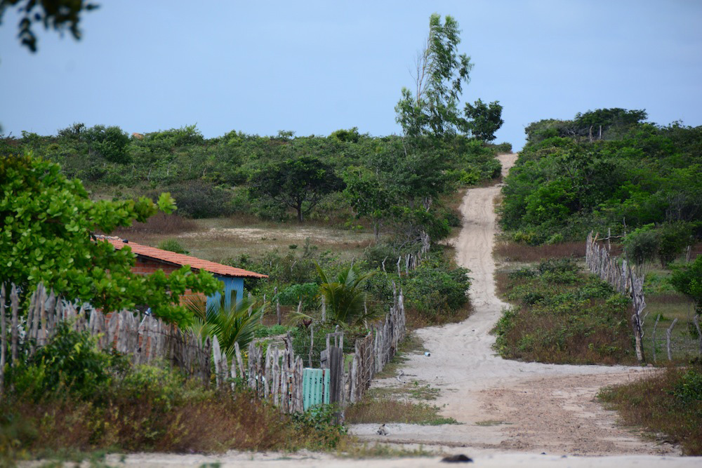 Road Into Sand Dunes