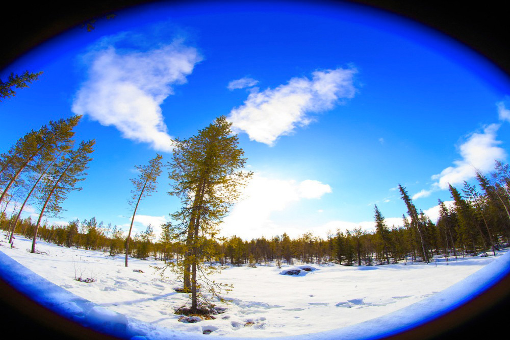 Finnish Lapland