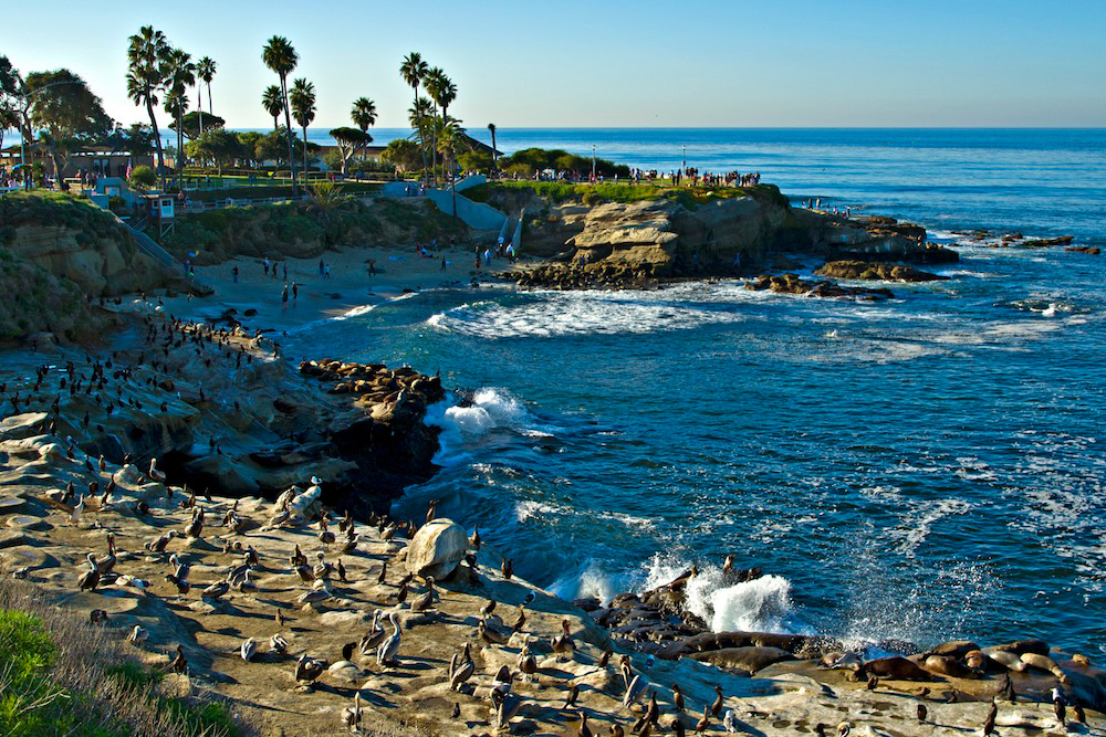 Meet Mother Nature in San Diego