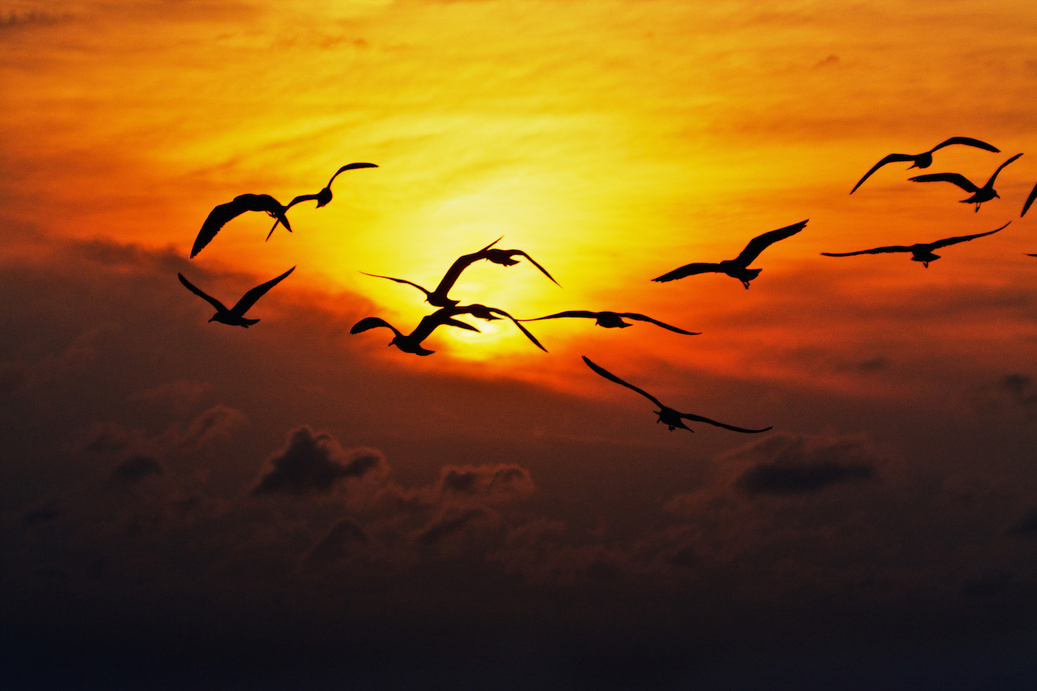 South Padre Island sunrise