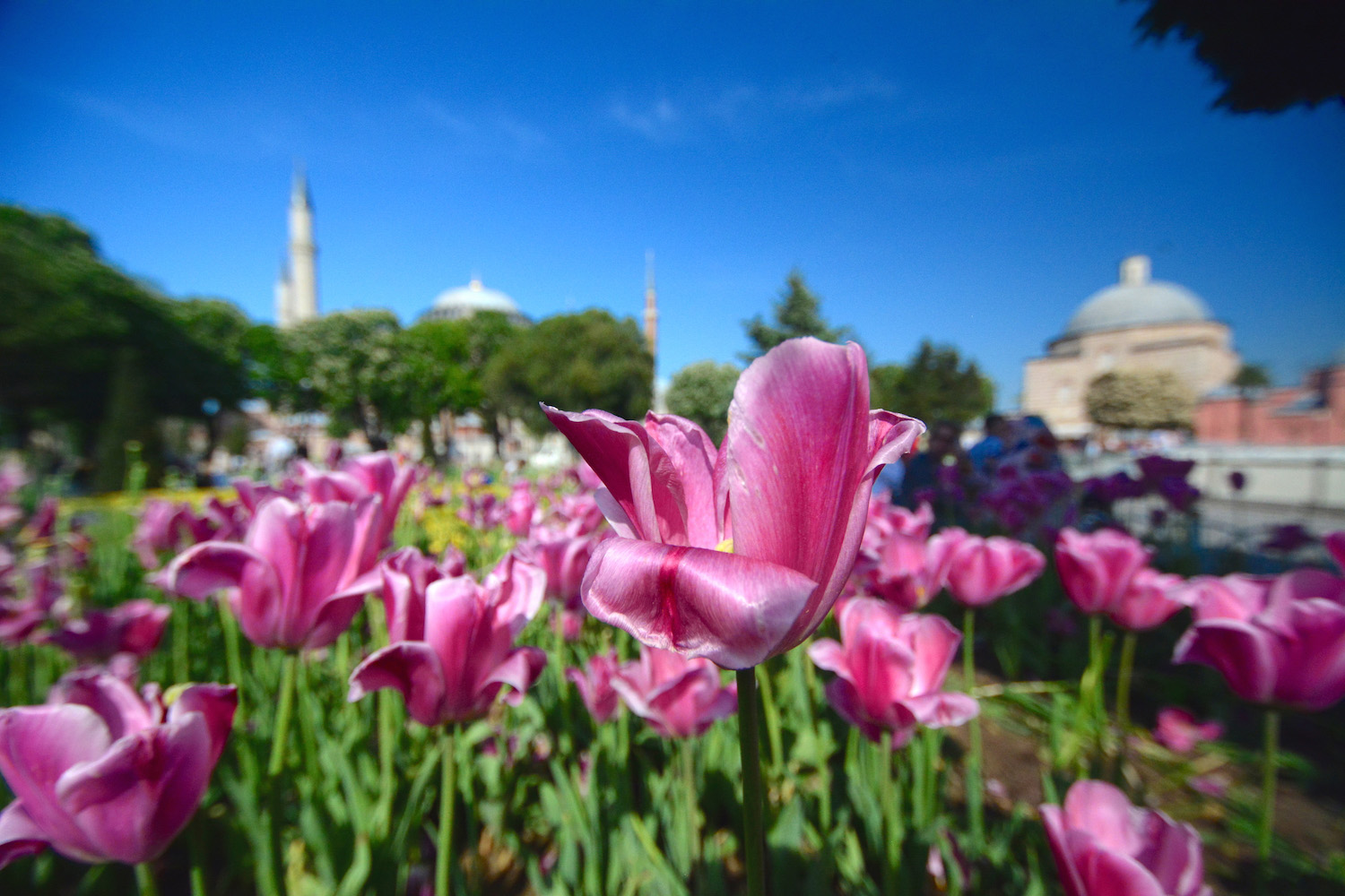 Hagia Sofia Church in Istanbul