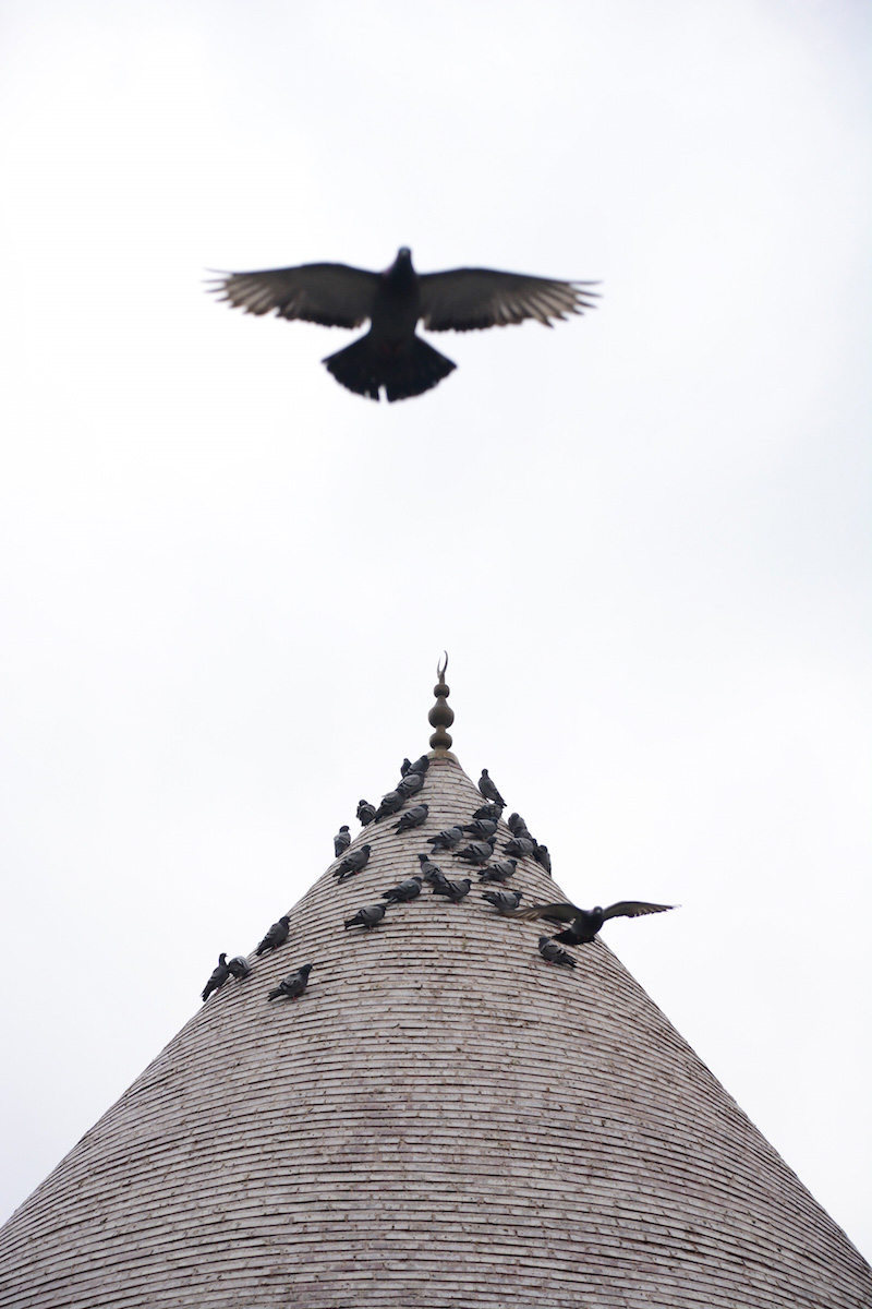 Birds flying over mosque in Konya, Turkey