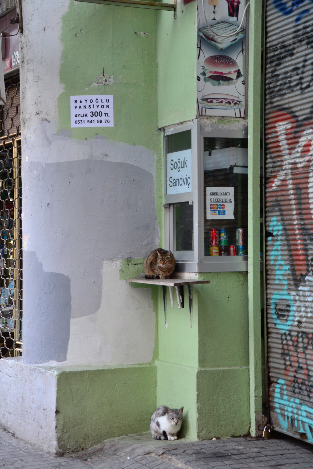 Cats on Istiklal in Istanbul