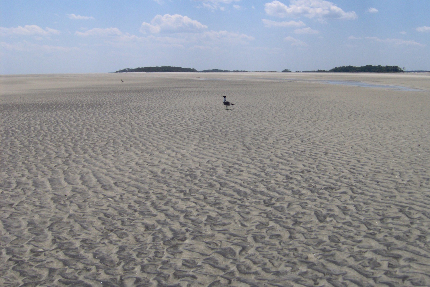 Tybee Island, Georgia