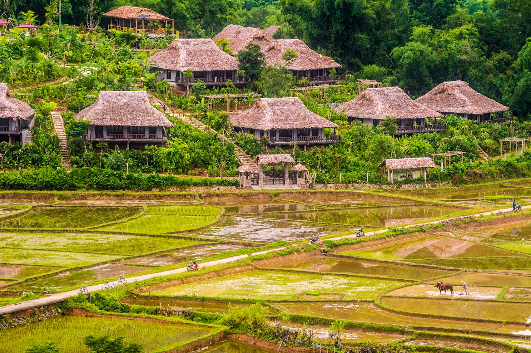 Mai Chau Ecolodge