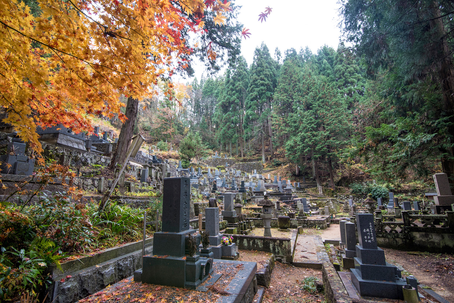 Nakasendo trail