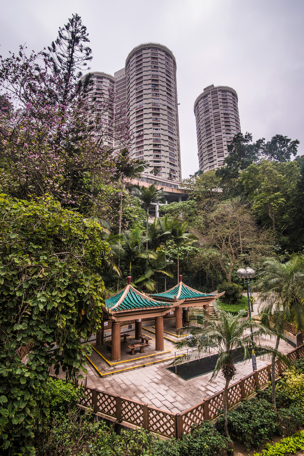 30 Awe-Inspiring Photo Captures of Cultural Hong Kong • We Blog The World