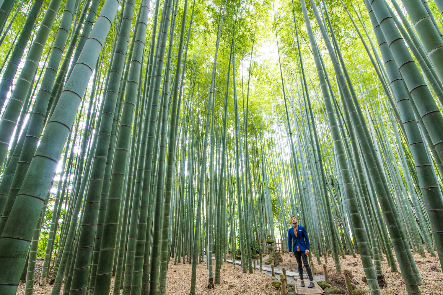 Robert Schrader in Kamakura, Japan